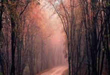 拉菲尼亚:金球奖不是我的个人目标,能进入候选已经是胜利.