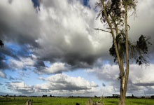 6688体育：詹姆斯26分米切尔24+7 不敌骑士吞下两连败.