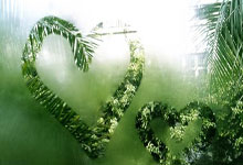 柯丝蒂·考文垂，国际奥委会第一位女主席来了.