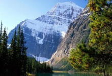 6688体育：维蒂尼亚：希望我能将自己在巴黎的好状态，带到葡萄牙国家队.